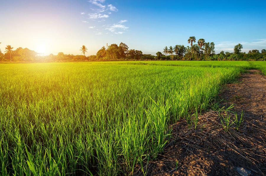 Image de la catégorie Entretien des climatisations