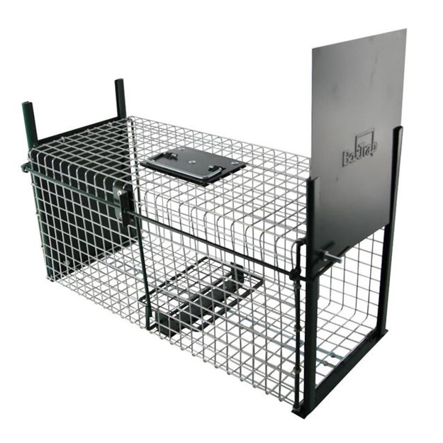 Image sur CAGE A RATS