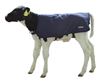 Image sur COUVERTURE POUR VEAU EASYWEAR